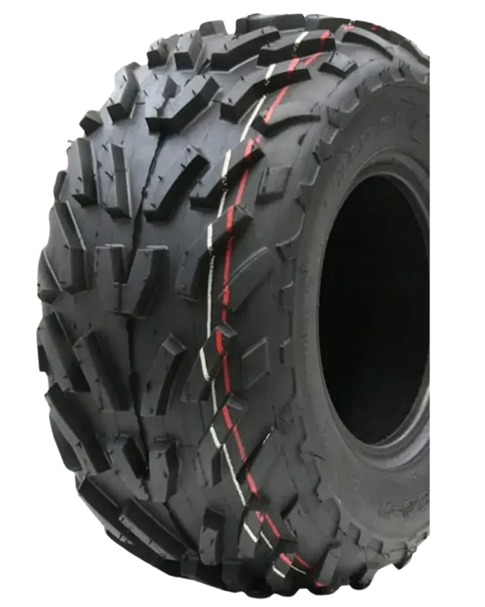 WDT P329